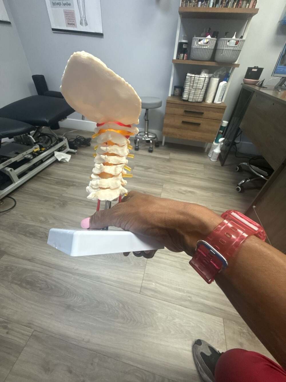 Anatomical Human Cervical Spine Model with Occipital Bone and Arteries